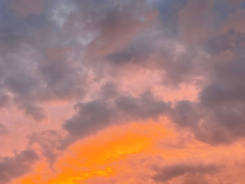 Pink_skies
