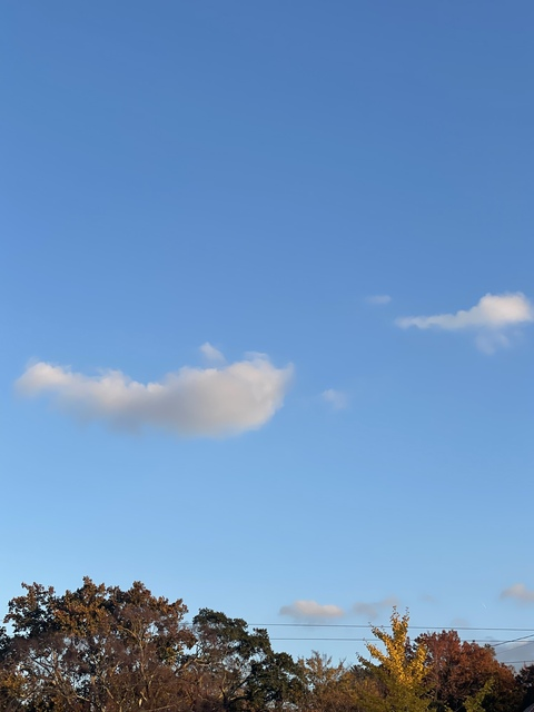 Delicious &amp; Divine